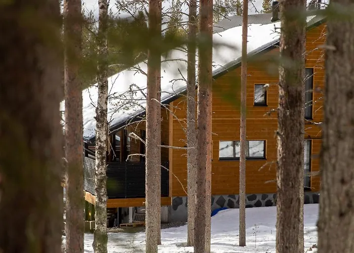 North - Levi West B *